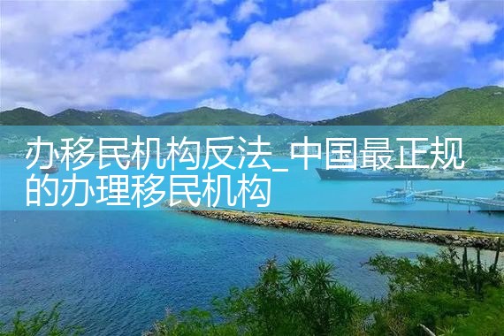 办移民机构反法