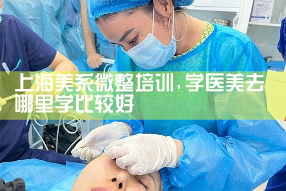 上海美系微整培训