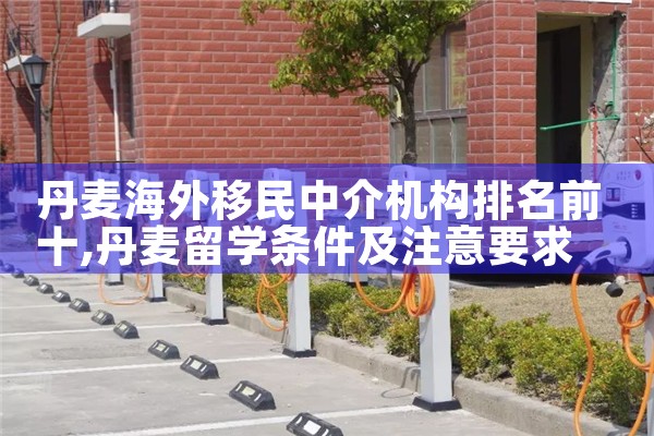 丹麦海外移民中介机构排名前十