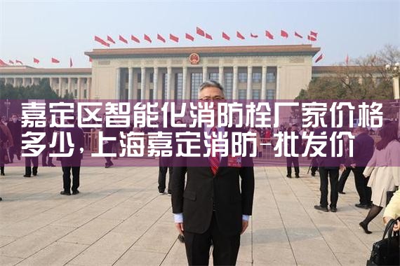 嘉定区智能化消防栓厂家价格表及图片电话
