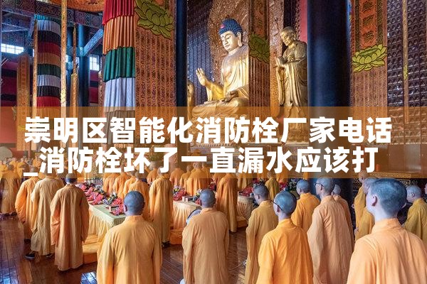 崇明区智能化消防栓厂家电话
