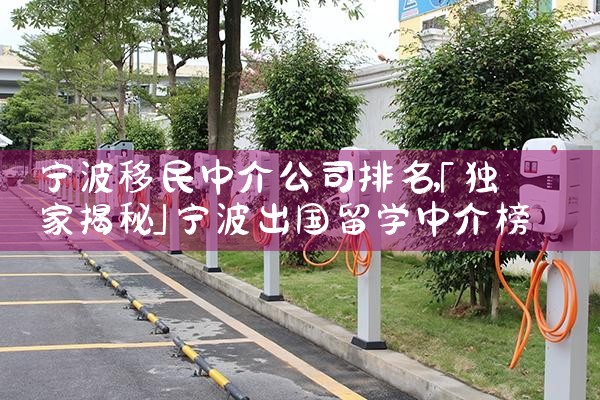 黑山正规移民中介公司排名