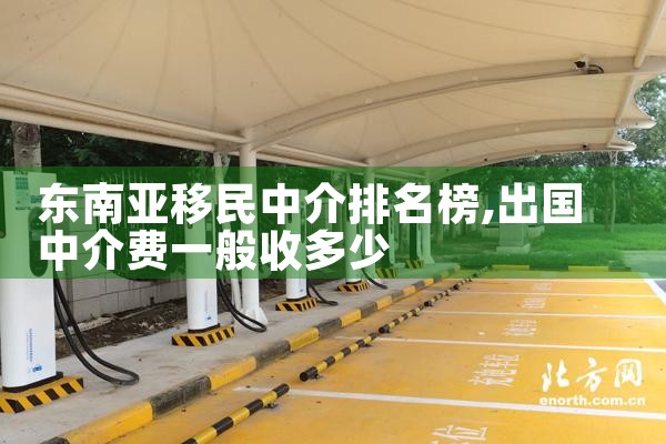 东南亚移民中介排名榜