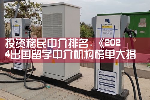 投资移民中介排名