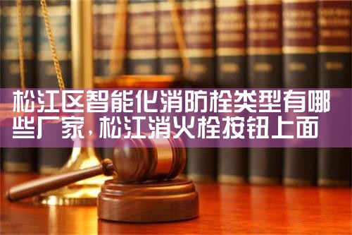 杭州智能消防栓系统厂家排名