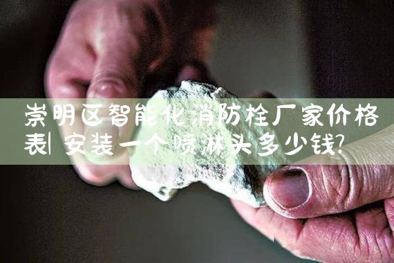闵行区智能化消防栓厂家