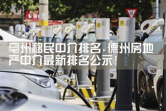 亳州移民中介排名