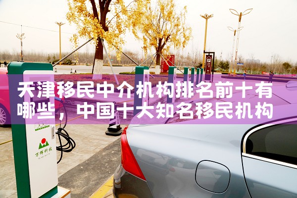 移民办理好的中介排名