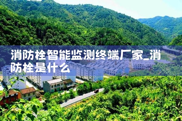 消防栓智能监测终端厂家