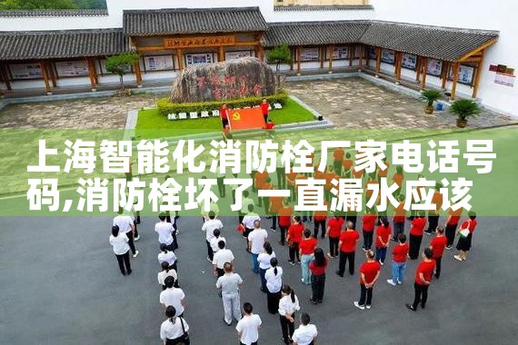 徐汇区智能化消防栓厂家价格表图片大全