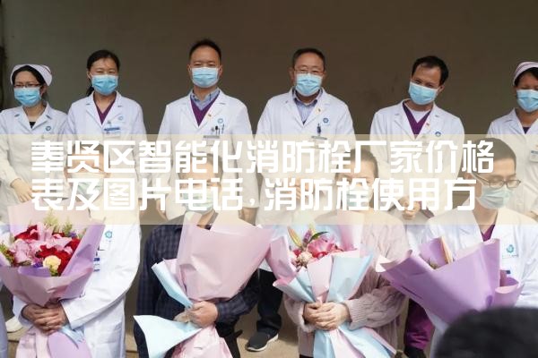 奉贤区智能化消防栓厂家价格表及图片电话