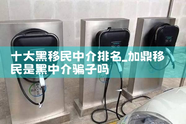 十大黑移民中介排名