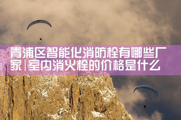 长宁区智能化消防栓有哪些厂家招聘的