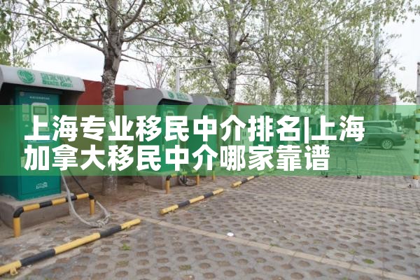 上海专业移民中介排名
