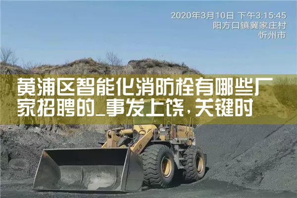 金山区智能化消防栓厂家