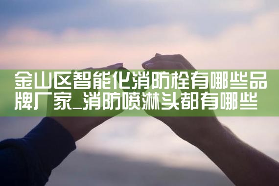 上海市政智能消防栓监控系统