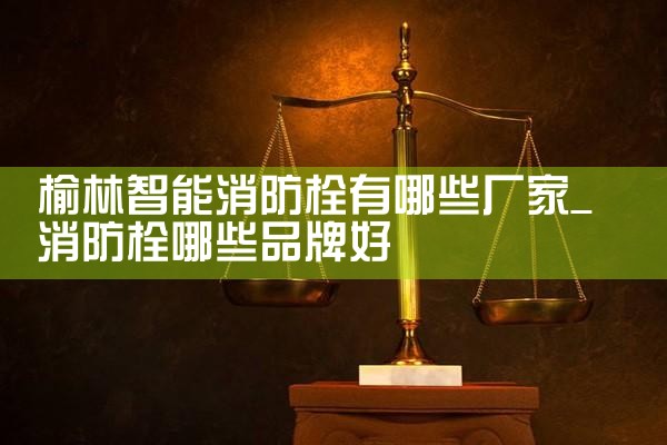 榆林智能消防栓有哪些厂家