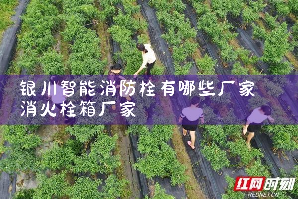 智能化消防栓厂家价格表图片及价格