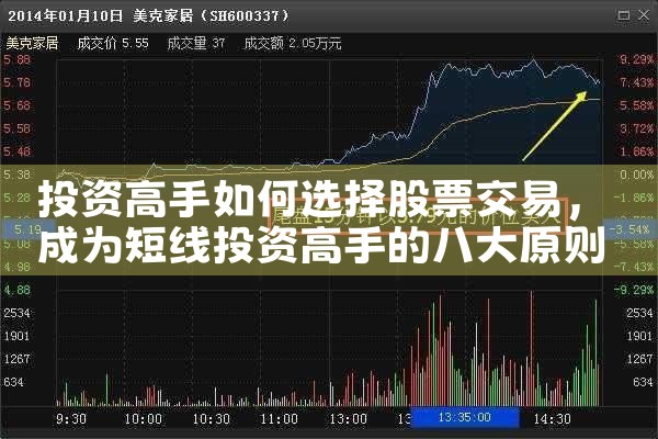 Ͷ�ʸ������ѡ���Ʊ����|Сţ��