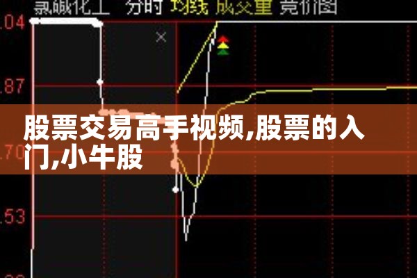 股票交易高手视频|小牛股
