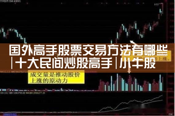 国外高手股票交易方法有哪些|小牛股
