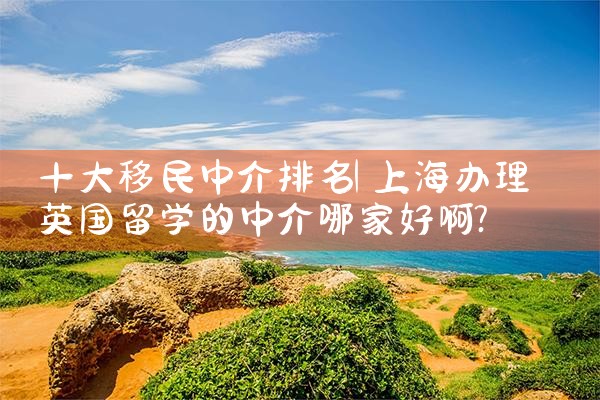 十大移民中介排名