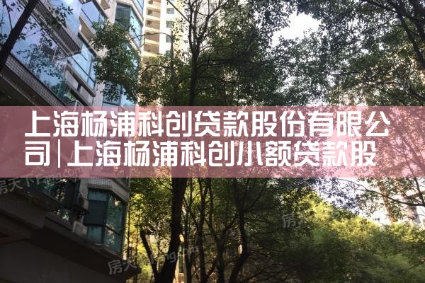 上海杨浦科创贷款股份有限公司