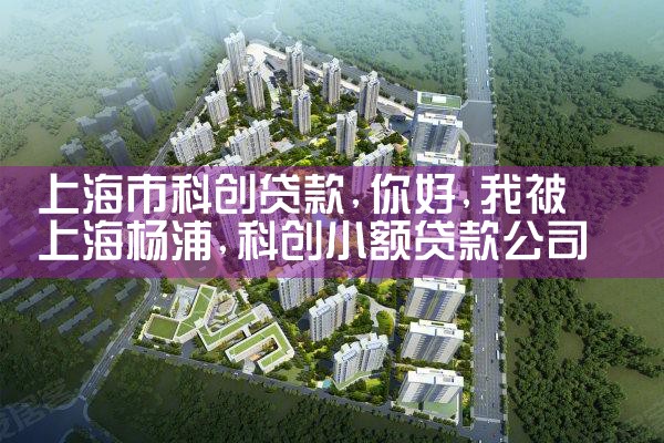 上海科技园大学生创业贷款