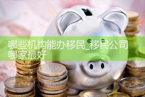 哪些机构能办移民