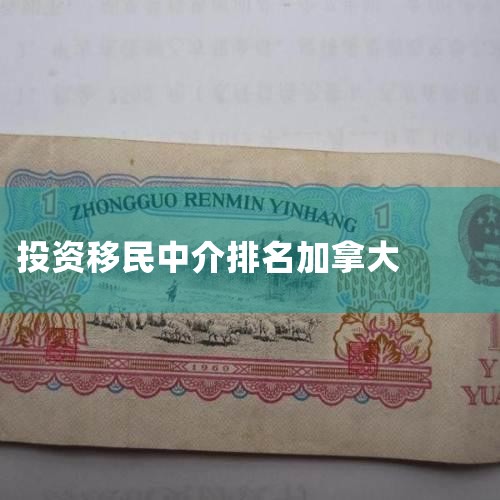 ôнƼEYPwCDeloitteCanadaVisaImmigroup1EY EYǼô֪ȫְҵ˾ΨһһСġ԰˾EYһרҵ