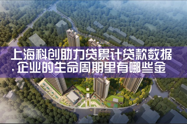 �Ϻ���������Ԫר��ƴ����ߴ�