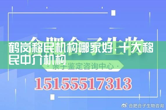 鹤岗移民机构哪家好
