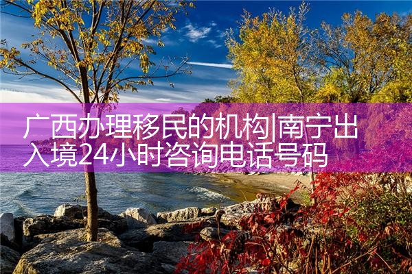 加拿大移民机构哪个好