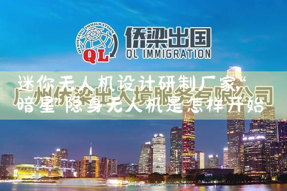 申请日本经营管理签证有哪些途径和方式呢|日本移民