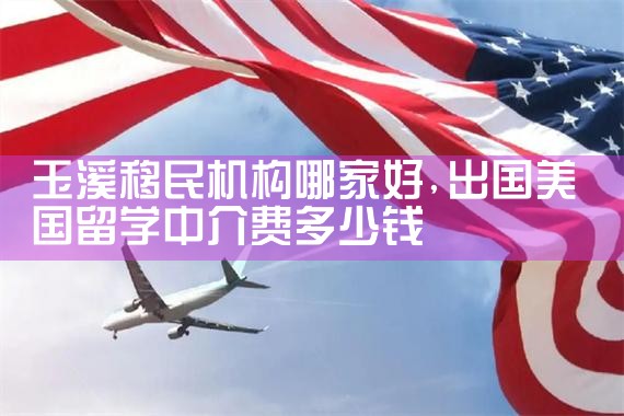 玉溪移民机构哪家好