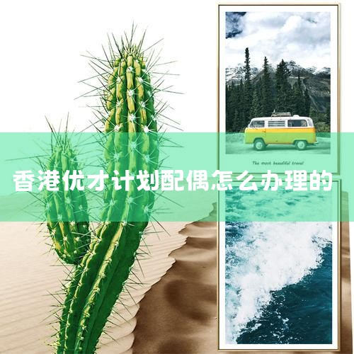 ѡнͶ˽Ҫѡһ׵eb5ĿȻ漰ĿзѡĿͬзҲͬһ4-6Ԫ