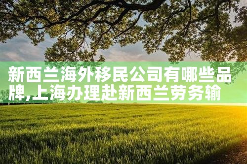 广州移民咨询哪家公司好|移民中介排名《今日汇总》投资移民哪家好?