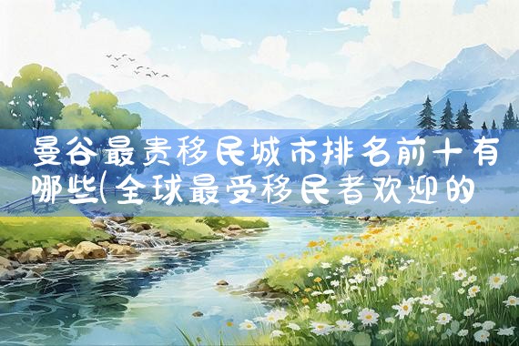 王国纪元移民排名对应票数|推荐移民机构