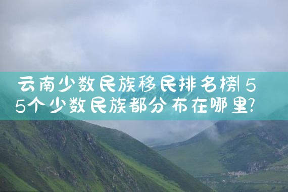 美国移民排期到了需要准备什么?|美国移民