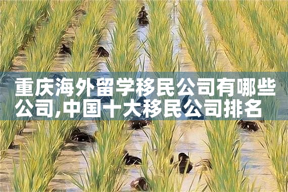 中国护呸日本出生地排美国绿卡|日本移民