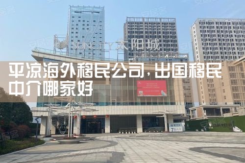 ƽ����������˾