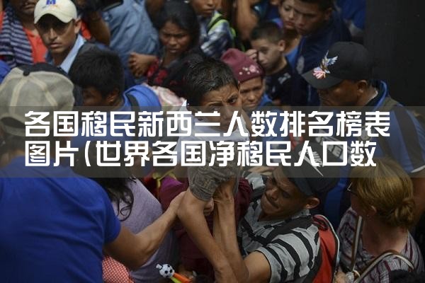 各国移民新西兰人数排名榜表图片|移民公司