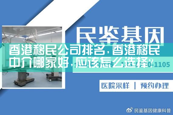 沧州移民机构哪家好
