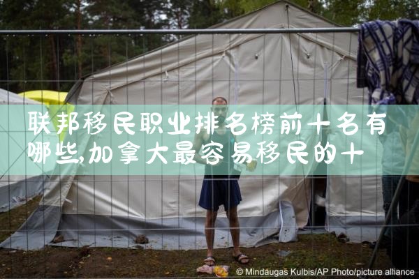 巴基斯坦海外移民数量排名表图片|移民公司