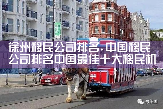 张掖移民公司排名