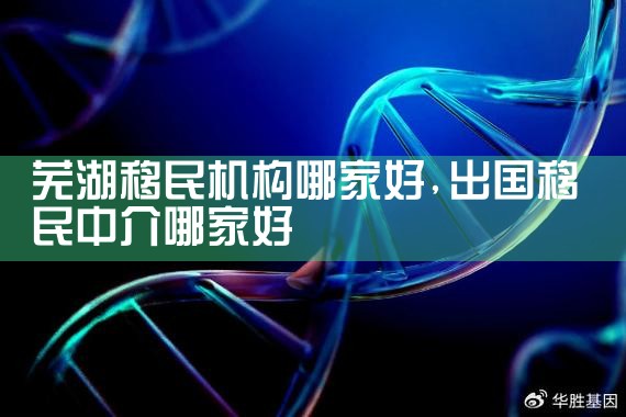 芜湖移民机构哪家好