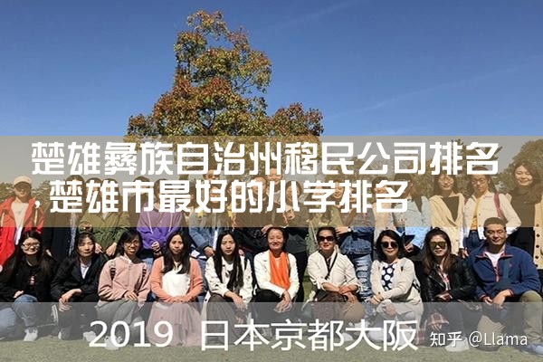 楚雄彝族自治州移民公司排名