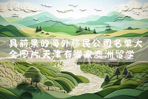 具前景的海外移民公司名单大全图片|上海移民机构