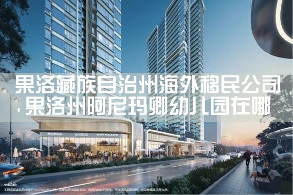 苏州海外移民公司