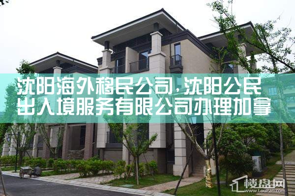 沈阳海外移民公司